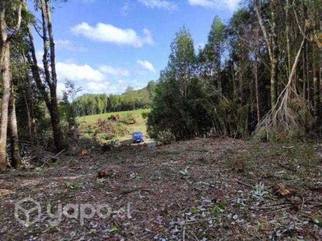 1 Hectarea Llicaldad Chiloé