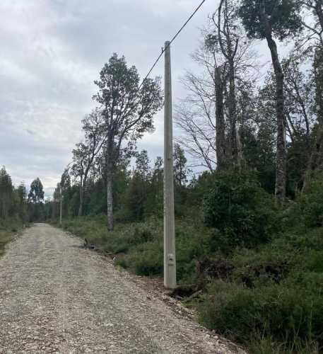 Vendo media hectárea