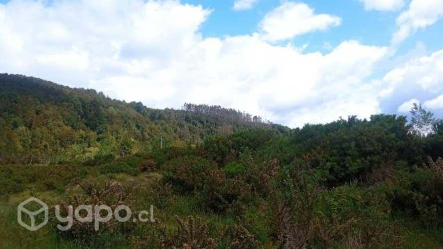 Venta de parcelas 5000 m2