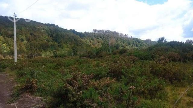 Venta de parcelas 5000 m2