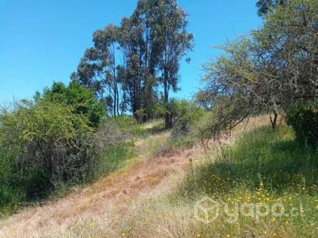 Vendo Parcela 5,5 Hectareas