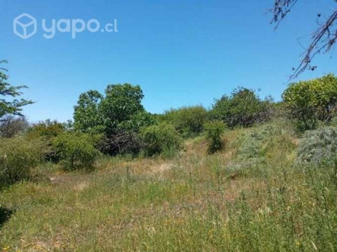 Vendo Parcela 5,5 Hectareas