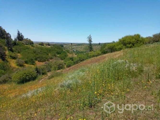 Vendo Parcela 5,5 Hectareas