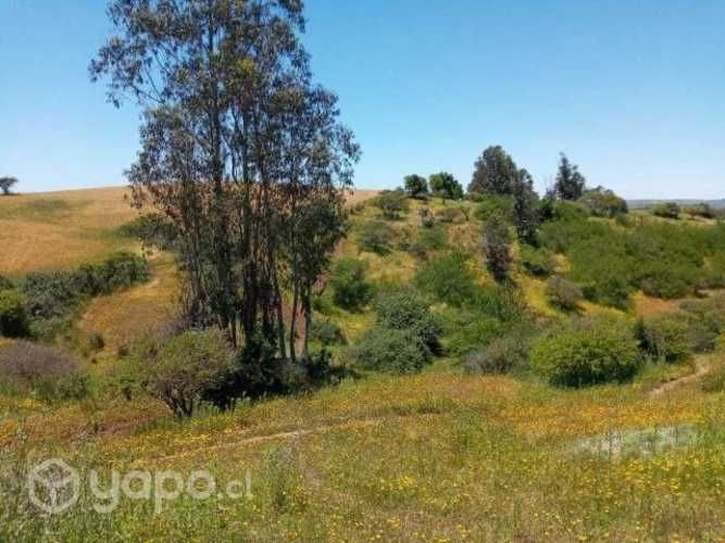 Vendo Parcela 5,5 Hectareas