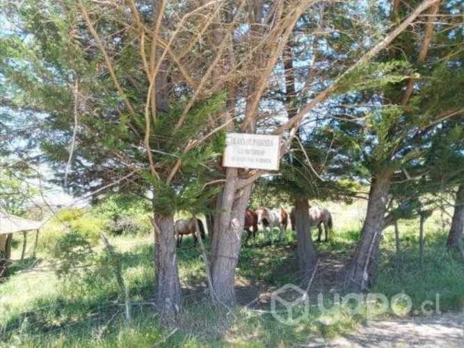 Vendo Parcela 5,5 Hectareas