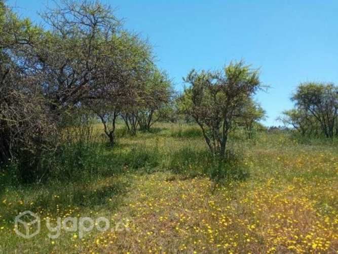 Vendo Parcela 5,5 Hectareas