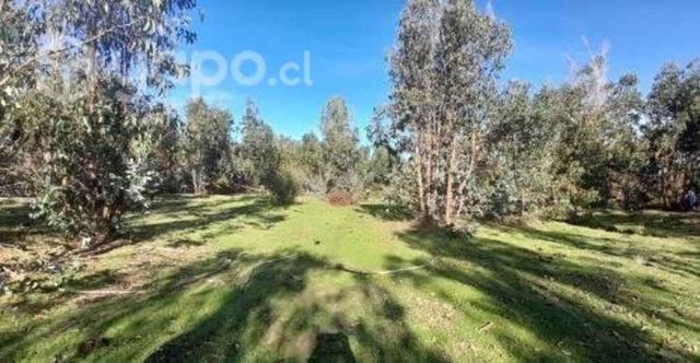 Campo para inversionista