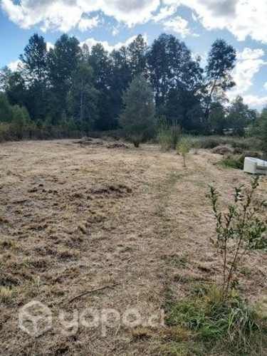 Arriendo cabaña (anual)