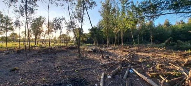 Terreno 5000mts con rol propio