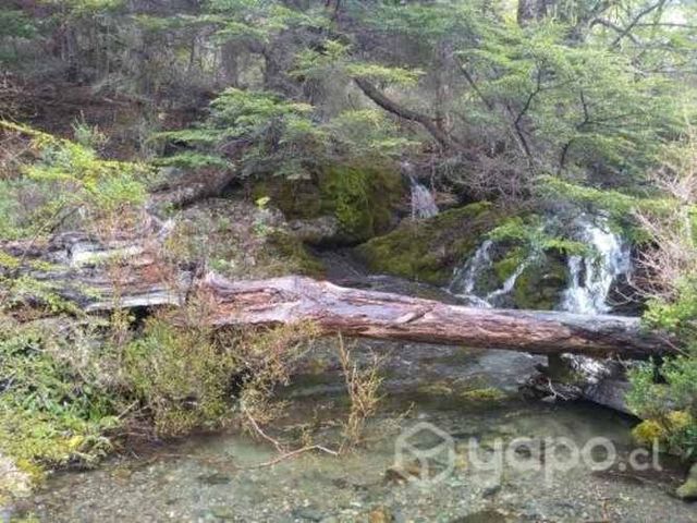 Terreno 27,5 ha a 12 km Cochrane - Balsa Baker