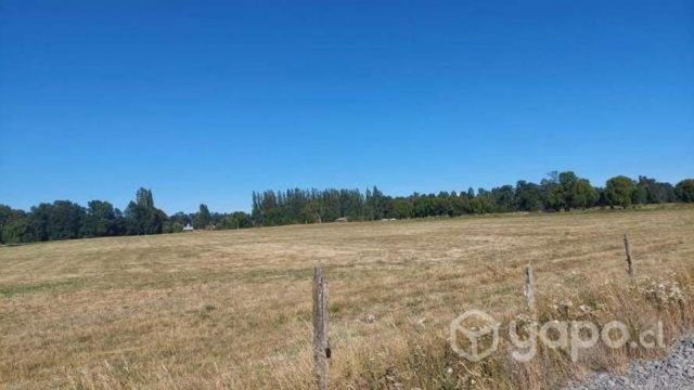 Vendo parcela 5.000m2 a 10 minutos de Puerto Octay