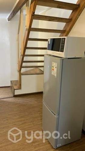 Arriendo de Piezas mensual (solo mujer)