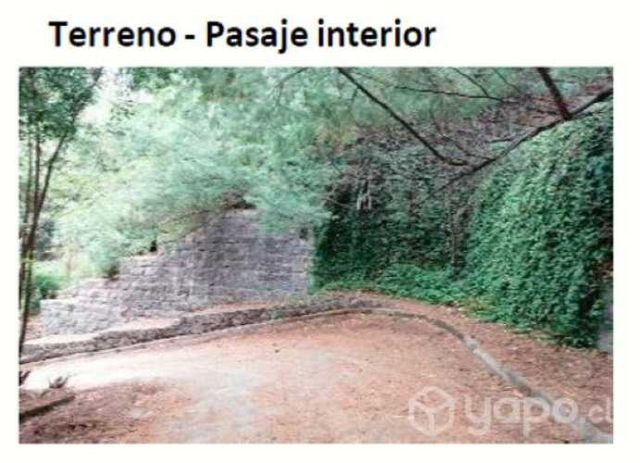 Atencion inversionistas