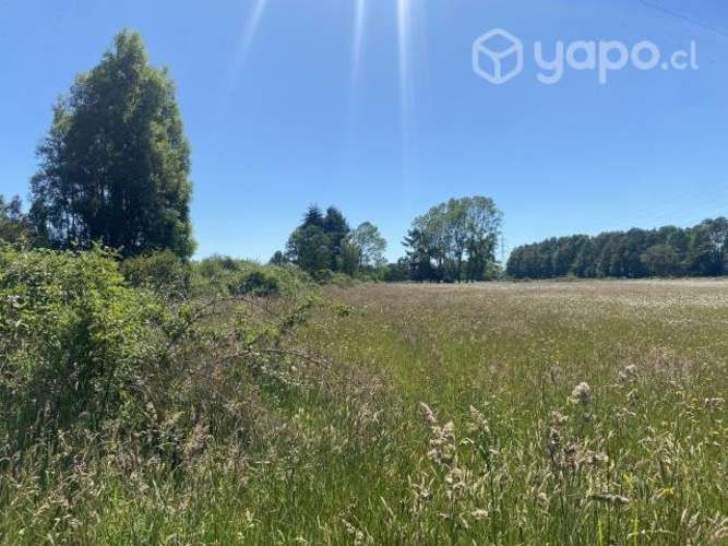 Parcela sector moncopulli