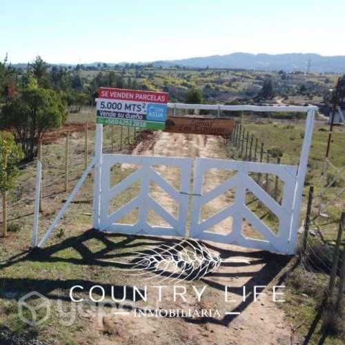 Parcelas a 40 minutos de concepcion