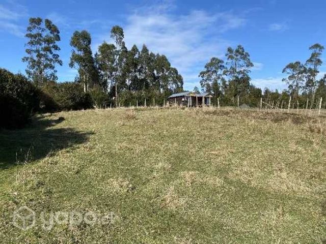 Lindo terreno isla puluqui