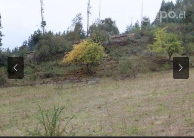 Vendemos o arrendamos terreno en La Unión