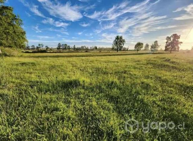 Hermosas parcelas en el Sur (Los Rios)