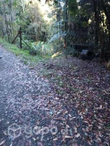 Parcela 5.000 m2 en Carretera Austral