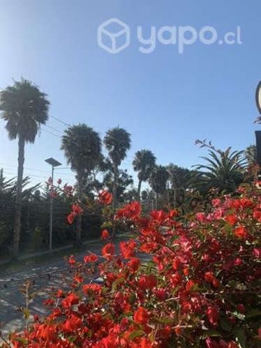 Casa para veraneo La Serena diario