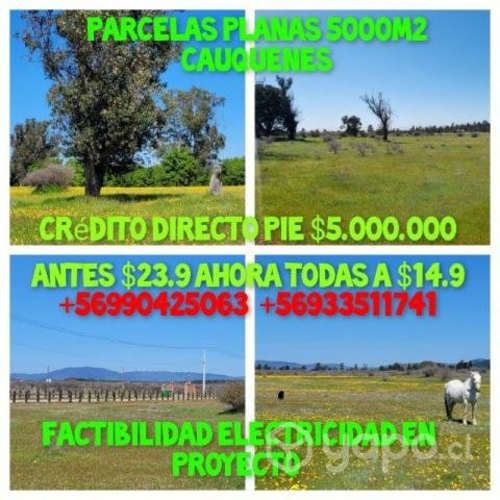 Parcela 5000m2 escritura inmediata