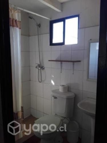 Arriendo Apartamento amoblado