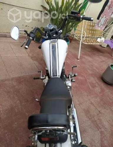 REGAL RAPTOR, Daytona 350, Año 2021