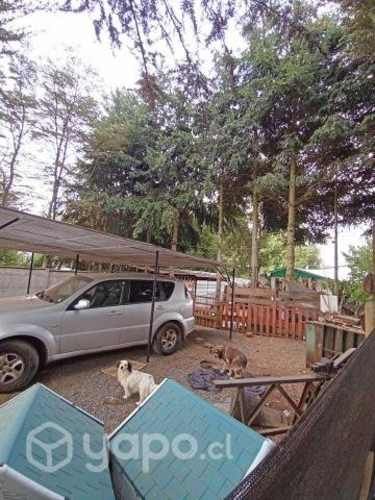 Ssangyong rexton 4x4 diésel