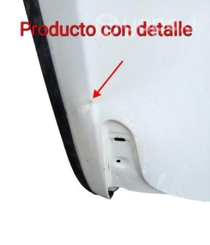 Pickup RAM  Con Detalle