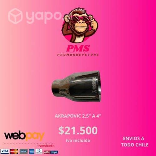 Escape Greddy/Akrapovic