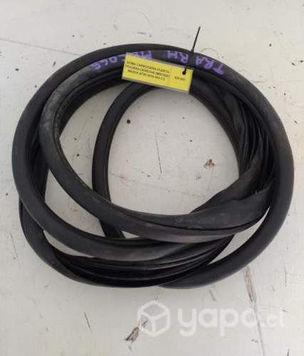 Goma Carroceria Pta tras der (MBC065) BT50 2019