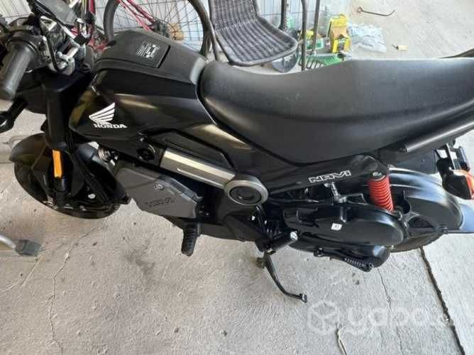 Honda Navi 2021