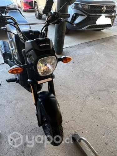Honda Navi 2021