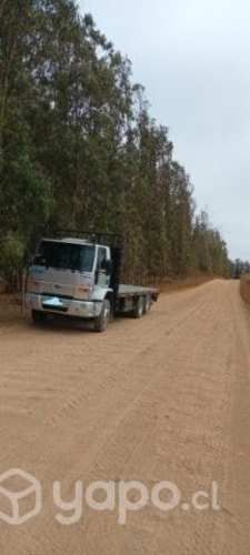 Camión Ford Cargo 1717 año 2007