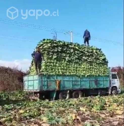 Baranda Granalera para camión