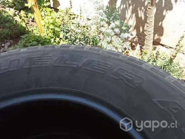 Neumático Bridgestone