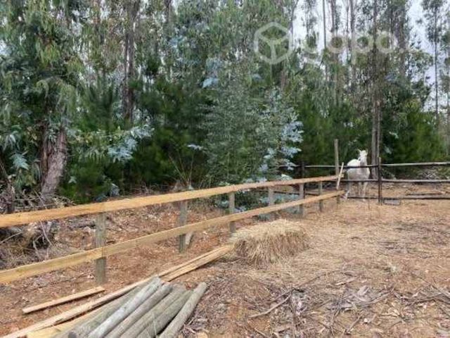 Últimas 2 parcelas a solo 10 min de cahuil