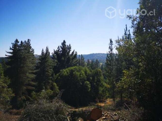 Terreno 1.5 hectáreas Florida