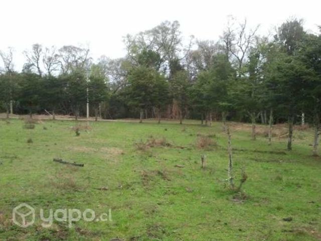 Parque La Foresta Cholchol Temuco