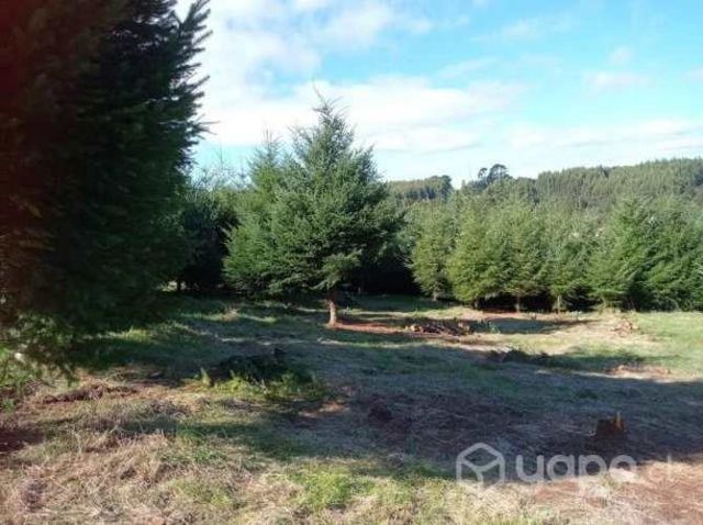 Venta de terreno en ancud chiloe