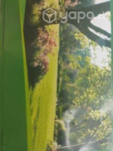 Sepultura perpetua parque del sendero