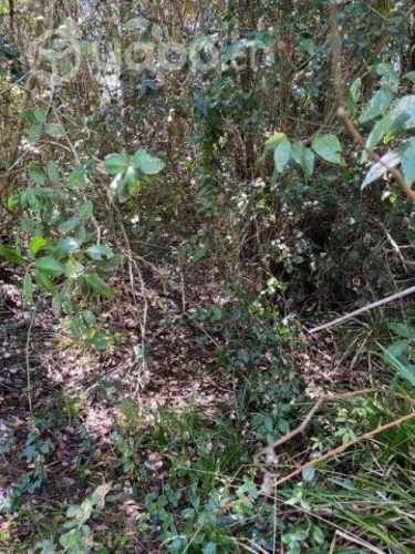 Venta casa parcela sector Pumalal