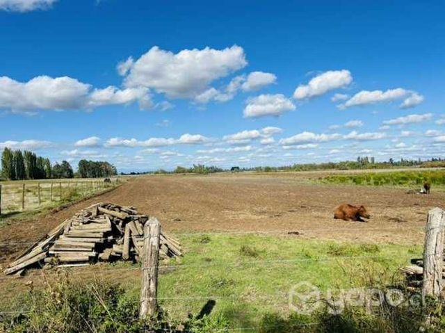 7 hectáreas en Tres Esquinas de Bulnes