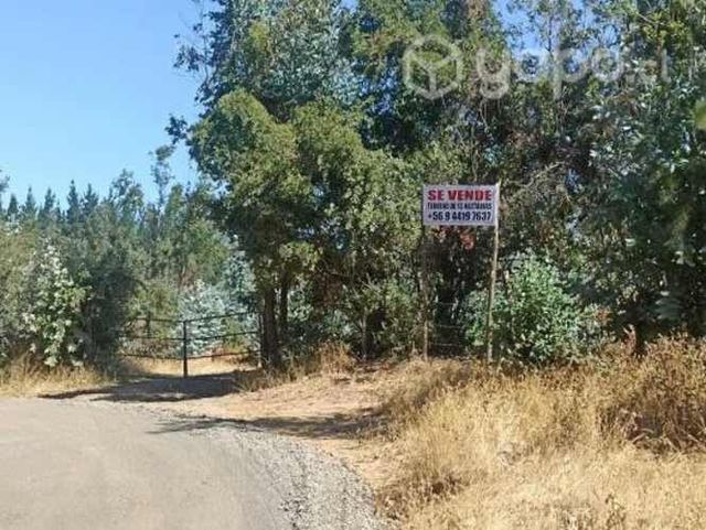 Se vende terreno forestal con Eucaliptos