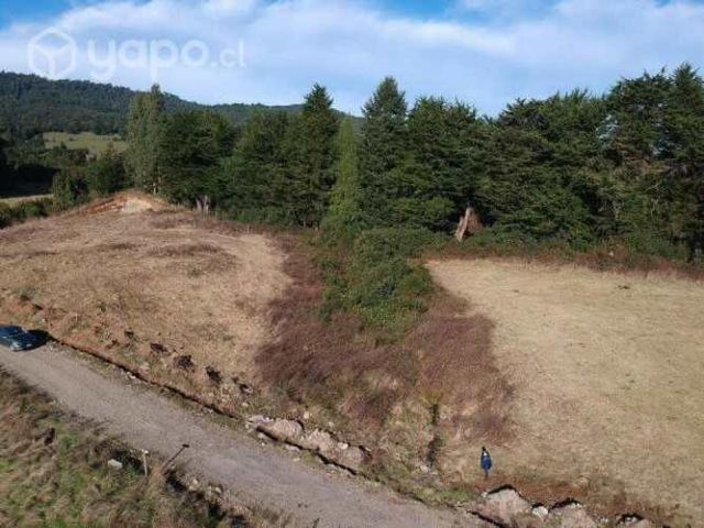 Hermosa parcela de 5000 metros km 26 Puerto Varas