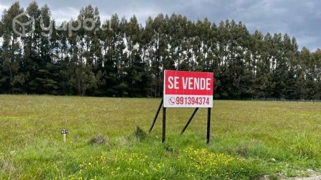 Terreno urbanizado frutillar