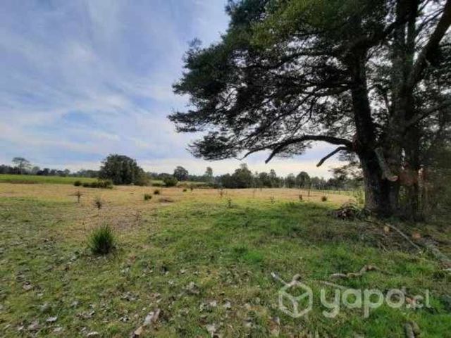 Se vende parcela sector Pichidamas, Puyehue