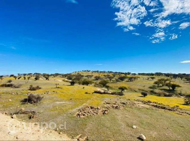 Parcela de agrado mallermo