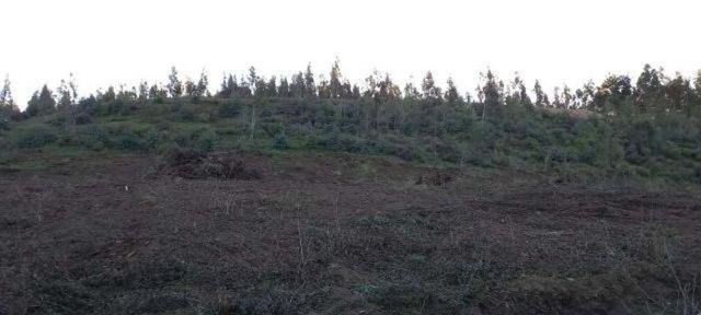 Parcela cerca los angeles