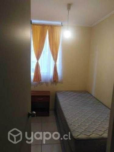 Se arrienda pieza en departamento